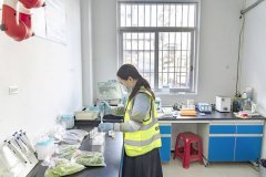 全市市场监管系统累计食物抽检2941