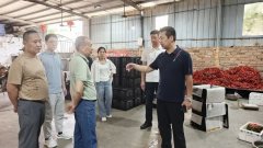 <b>办理轨制和台账；印发禁限用农药名录、农产质</b>